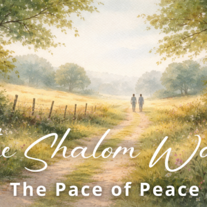The Shalom Walk - 6 Month Online Course